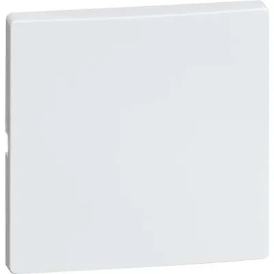 Peha Wippe 1-fach 95.540.03 | Schalterabdeckung 500er Grundelemente | Wechsel Kreuz Taster | Thermoplast glänzend