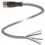 Bild: PEPPERL+FUCHS Sensor-Aktor-Kabel V15-G-2M-PVC | M12 Buchse gerade | 5-polig | 2m | PVC | IP68 | grau