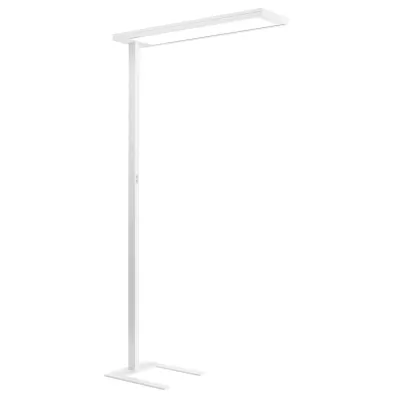 Performan. LED-Stehleuchte 4000K dimm. m. Tast 8740761135411