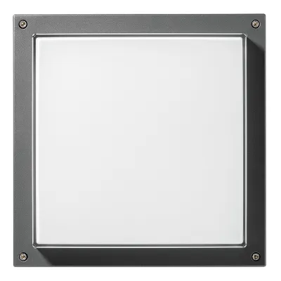 Performan. LED-Wand-u. Deckenleuchte 3000K DALI 304660