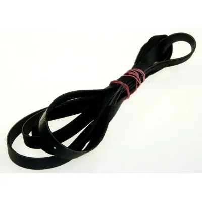 Poly-V-Riemen für EBD Trockner Hutchinson 1904H7EL Riemen, 1904 mm