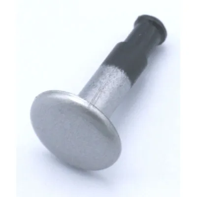 Programmeinheitsschalter (50290255004)