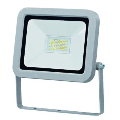PROTEC.CLASS PLEDWS20 LED-Wandstrahler 20W