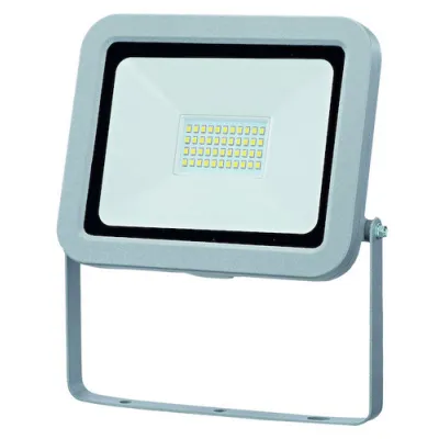 PROTEC.CLASS PLEDWS30 LED-Wandstrahler 30W