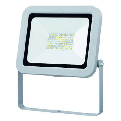PROTEC.CLASS PLEDWS50 LED-Wandstrahler 50W