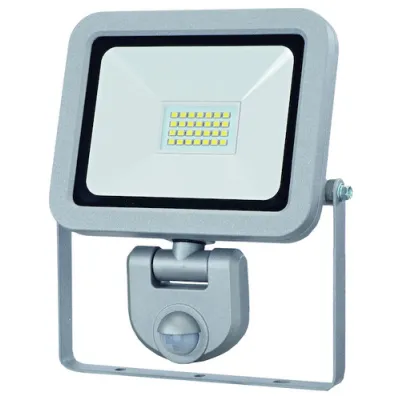 PROTEC.CLASS PLEDWSB20 LED-Wandstrahler 20W m. BWM