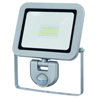 PROTEC.CLASS PLEDWSB30 LED-Wandstrahler 30W m. BWM