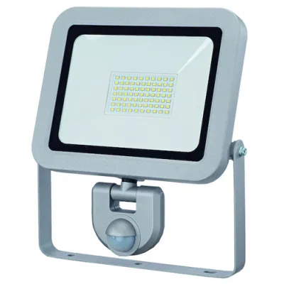 PROTEC.CLASS PLEDWSB50 LED-Wandstrahler 50W m. BWM