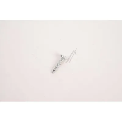 PT-Schraube 4x19 für Kühlschrank Beko Grundig Arcelik C00891506 Befestigung