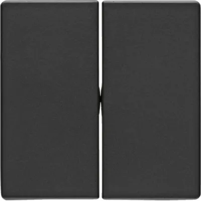 Berker Wippe 16236086 | Doppelwippe für Schalter/Taster Q.1/Q.3 | anthrazit samt | Kunststoff matt | IP20 | halogenfrei