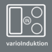 ICON_INDUCTION_VECTOR