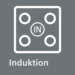 ICON_INDUCTION