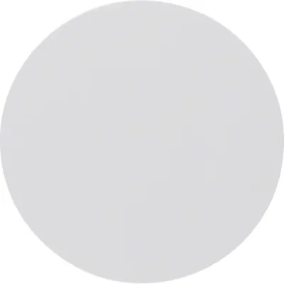 Berker Wippe 16202089 für R.1/R.3 Schalter/Taster | polarweiß glänzend | Kunststoff | IP44 | einteilig | RAL 9010