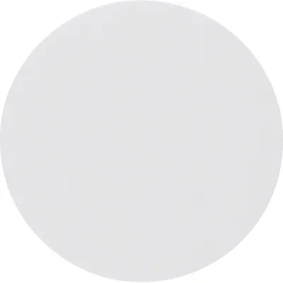 Berker Wippe 16202089 für R.1/R.3 Schalter/Taster | polarweiß glänzend | Kunststoff | IP44 | einteilig | RAL 9010