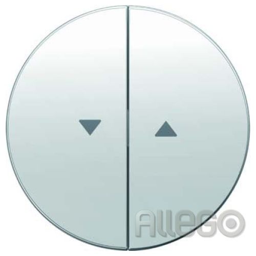 Bild: R1/R3/pw/g Wippen m.Aufd. Symbol Pfeil R.1/R.3