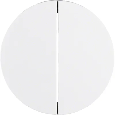 Berker Wippe 2-fach R.1/R.3 16232089 | Schalter/Taster | Kunststoff | polarweiß glänzend | halogenfrei