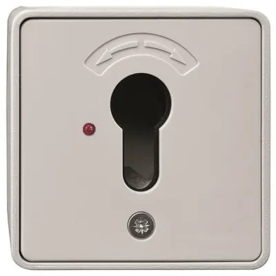 Rademacher Schlüsseltaster Unterputz 4593 | Garagentorantrieb Zubehör | ohne Zylinder | grau