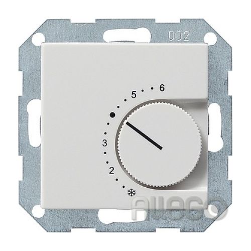 Bild: Raumthermostat Wechsler System 55, 24V, rws