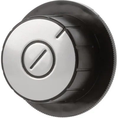 Regler 10008612 Bosch