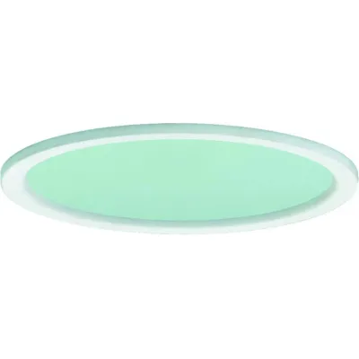 RIDI Dekorscheibe aus Floatglas DR150-SM-G-D-W