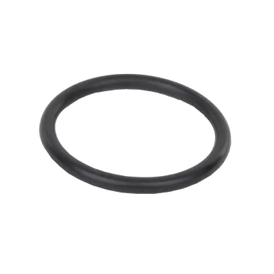 Ring 00428243