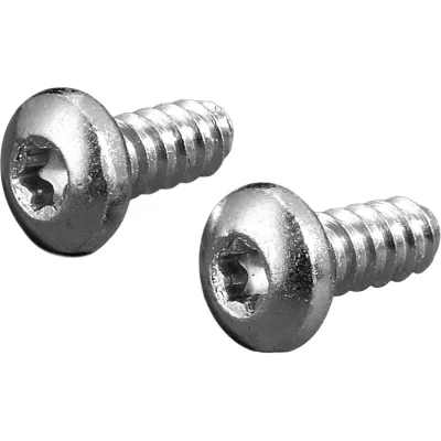 Rittal Blechschraube SZ 2486.600 | Innensechsrund TX30 | 5,5x13mm | Linsenkopf | selbstbohrend | verzinkt | 300 Stück