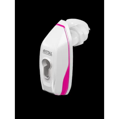 Rittal Mini-Komfortgriff AX 1485.600 | Schwenkhebel für AX Kunststoffgehäuse | Zylinderschließung | Zinkdruckguss | Grau