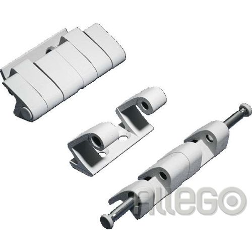 Bild: Rittal Scharnier 180Grad TS 8800710 RAK 7035 f. dynam. Belastung Rittal Scharnie
