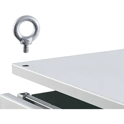 Rittal Transportöse SZ 4568.000 | Ringschraube M12 x 14 mm | Stahl verzinkt | Set à 4 Stück | für VX TS SE