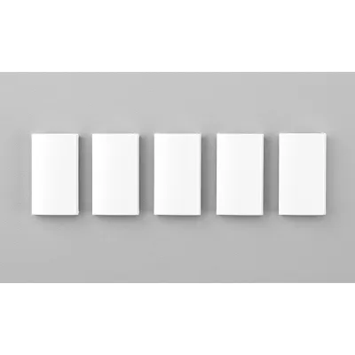 RITTO Tastenleiste 1269691 für 1575272 | Ersatzteil Sprechanlage | 2 Tasten | 25x45x6mm | 5 Stück | weiß