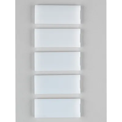 Ritto Namensschild 1225170 | für Türstation 14754/.0, 15754/.2 | 5 Stück | Kunststoff | 53x21x4mm | Ersatzteil