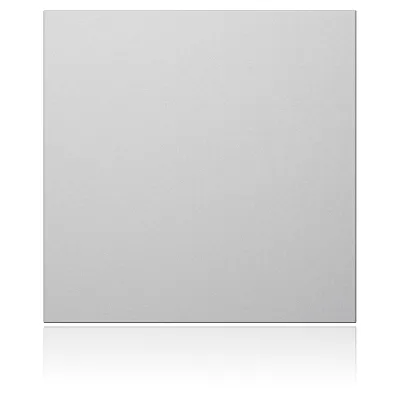 Ritto Portier Blindmodul 1876620 | TwinBus Türsprechanlage | Platzhalter für Modulstation | 95x95x33 mm | silber