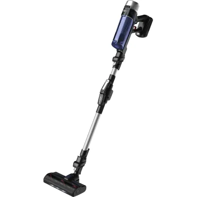 Rowenta RH 20CO X-Force Flex 9.60 Allergy Aqua