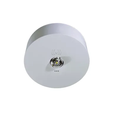 RP-TECHNIK LED-Sicherheitsleuchte ILDK423SC | 2,8W 170lm | Deckenmontage | IP40 | 3h Notbeleuchtung | Kunststoff weiß