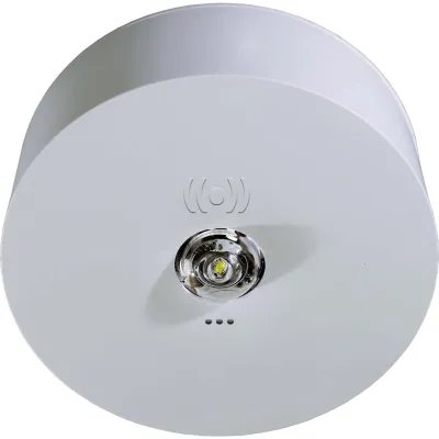 RP-TECHNIK LED-Sicherheitsleuchte ILDK423SC | 2,8W 170lm | Deckenmontage | IP40 | 3h Notbeleuchtung | Kunststoff weiß