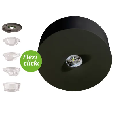 RP-Technik LED-Sicherheitsleuchte Decke, Linsen ILDL423WL-SW