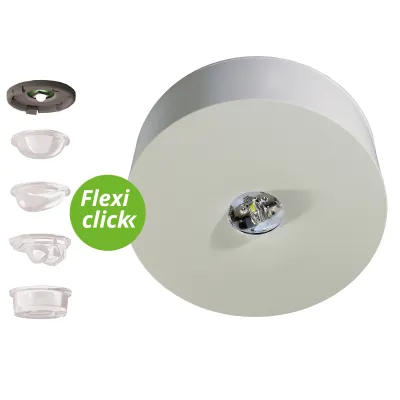 RP TECHNIK LED-Sicherheitsleuchte ILDL423SC | Deckenanbau | 3W 4000K 130lm | Selbsttest | IP40 | Kunststoff weiß