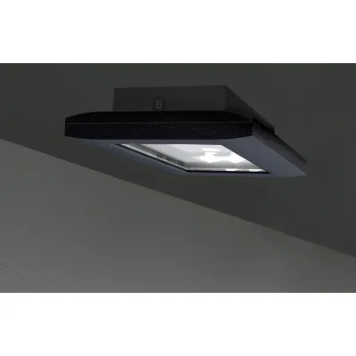 RP-Technik LED-Sicherheitsleuchte ZB + ML, anth FMDS029ML-AZ