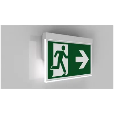 RP-Technik Rettungszeichenleuchte 3h, Wireless, ws AXW403WL