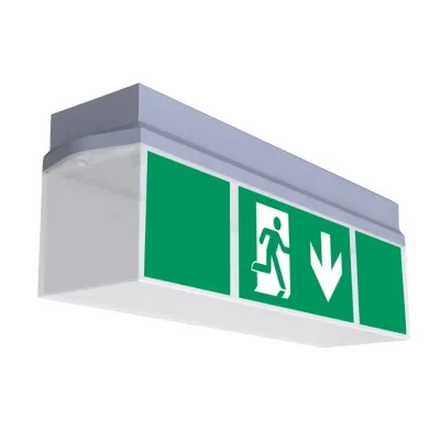 RP-Technik Rettungszeichenleuchte ZBA KWID019ML