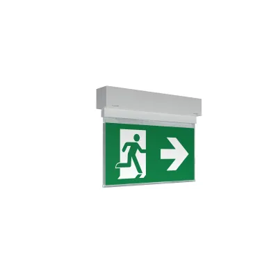 RP-TECHNIK LED-Sicherheitsleuchte KAXU403WL | 4,7W | IP65 | Wireless | 3h Notlicht | 30m Reichweite | Weiß