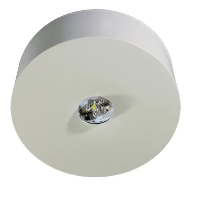 RP-Technik LED-Sicherheitsleuchte ILDL423WL | Deckenanbau | 3,4W | 4000K | 130lm | IP40 | 3h | weiß | Kunststoff