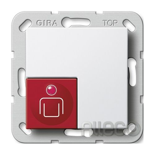 Bild: Ruftaster Plus System55 rws