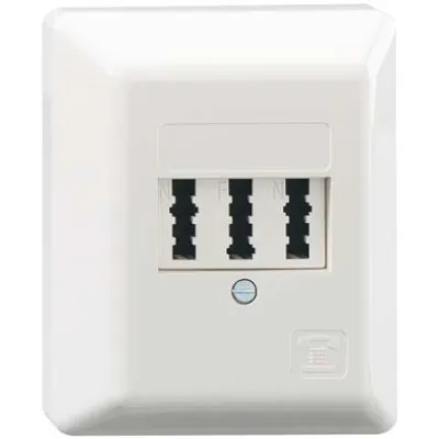Rutenbeck TAE-Anschlussdose 3x6 NFN AP | Telefondose für 1 Telefon & 2 Geräte | Aufputz | reinweiß RAL 9010