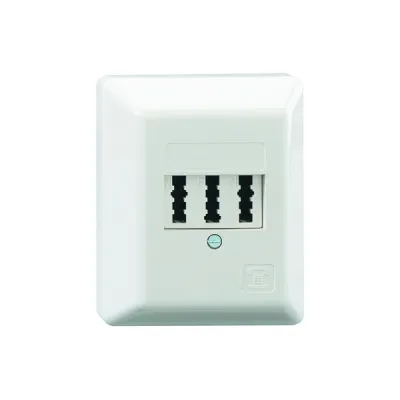 Rutenbeck TAE-Anschlussdose 3x6 NFN AP | Telefondose für 1 Telefon & 2 Geräte | Aufputz | reinweiß RAL 9010