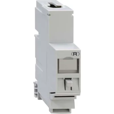 Rutenbeck | REG-Montageadapter | Cat6A 10G | Universalmodul RJ45 | DIN-Schiene | geschirmt | lichtgrau