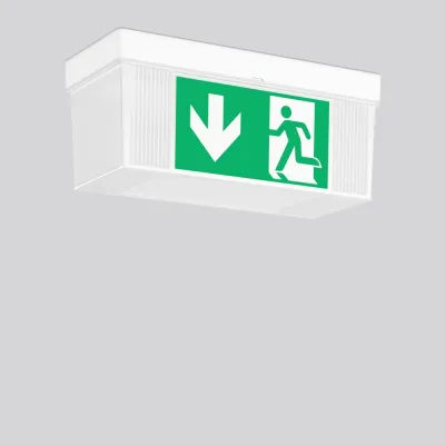 RZB LED-Sicherheitsleuchte 671819.002.3 | Rettungsweg | 3h Notlicht | 4000K | IP20 | Einzelbatterie | Decken-/Wandanbau