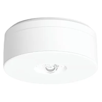 RZB LED-Sicherheitsleuchte Lucio 2 672529.002.89 | Rettungswegbeleuchtung | Deckenanbau | 5,2W 4000K | IP20 | weiß
