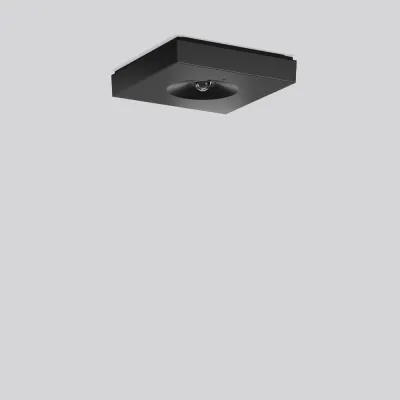 RZB LED-Sicherheitsleuchte 672582.003.F1 CENTRYXX | Rettungswegbeleuchtung | Deckenanbau | 0,3W | 4000K | IP40 | schwarz