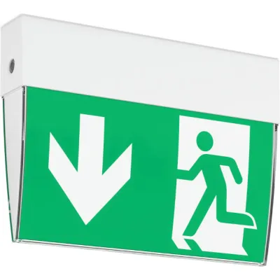 RZB LED-Rettungszeichenleuchte 672839.002.F1 GSUN 5 | Notleuchte Wand-/Deckenmontage | IP54 | 4000K | 3h | 24m | weiß